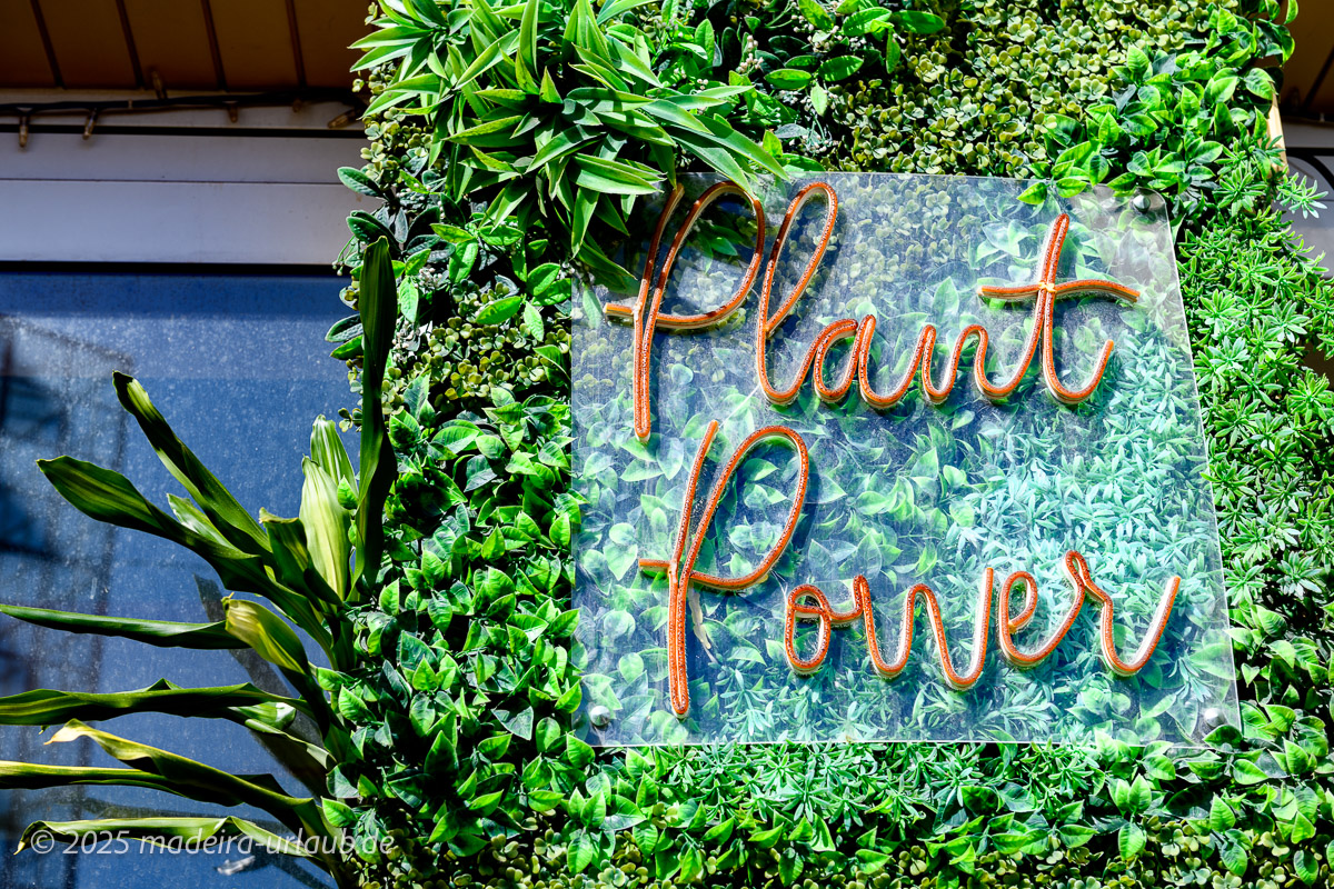 Plant Power